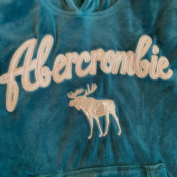 Abercrombie Kids Velour Sweatshirt - Picture 2 of 2